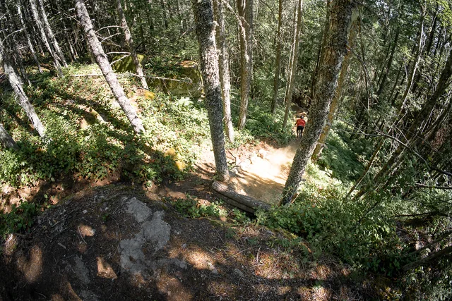A rider leaning into a forest berm in Nanaimo