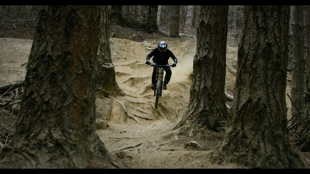 A rider in a full-face helmet threads between pine trunks on a rooty forest trail