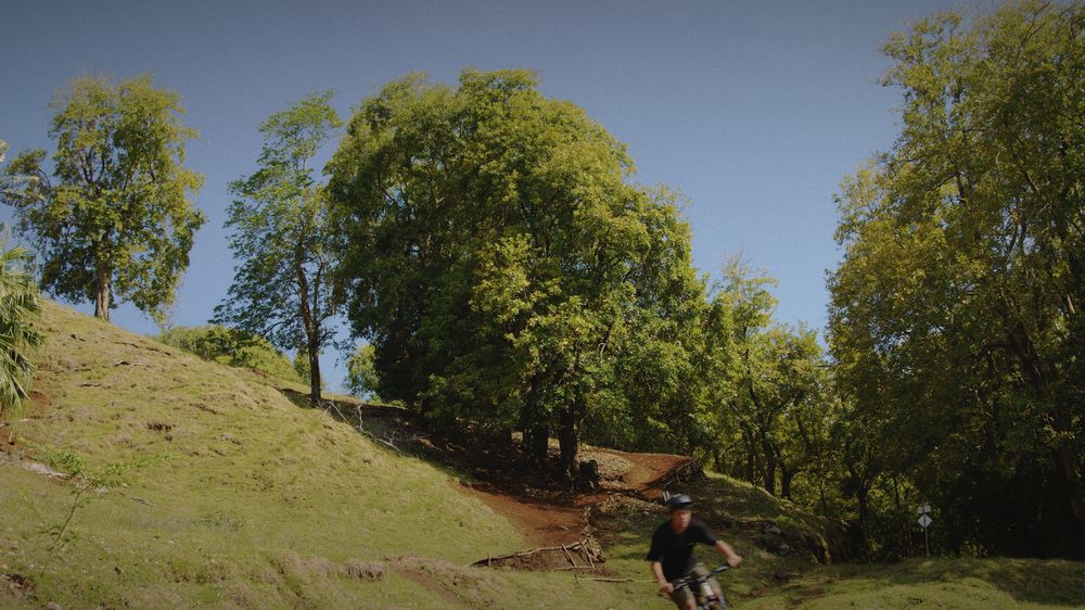 A rider drops into the line under the big trees at Mo’Bike