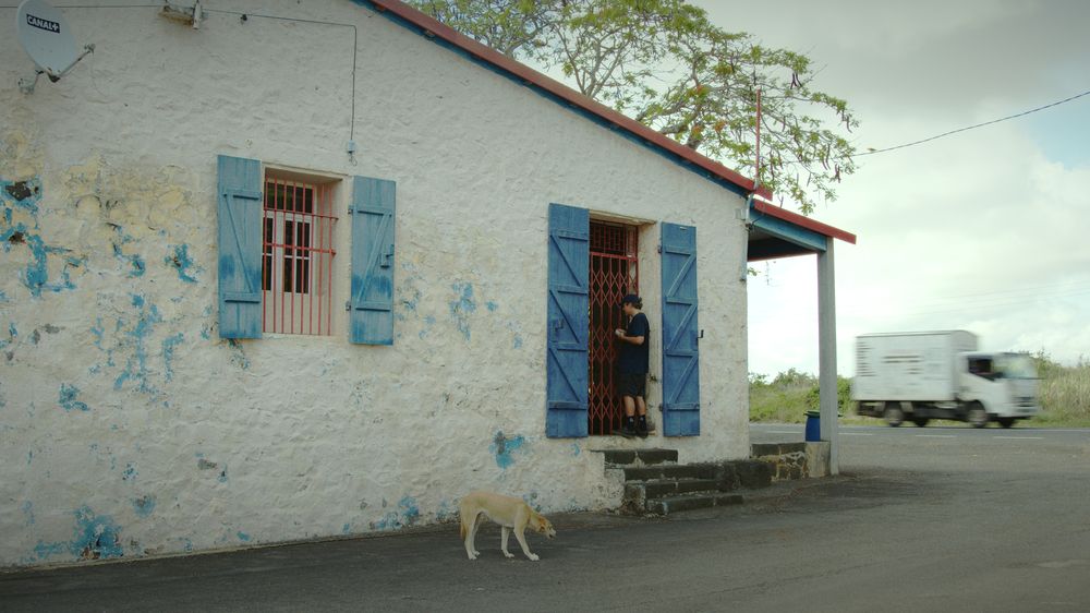 Henri stands in the red iron doorway of a white shop with blue shutters, a dog crossing the road in front
