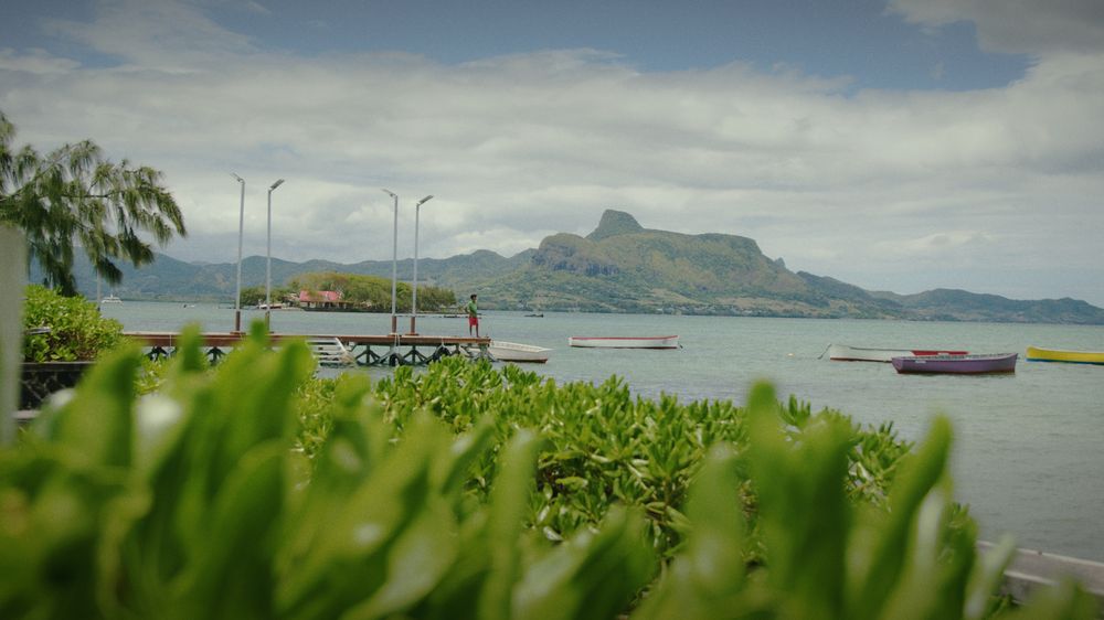 Fishing boats on a turquoise lagoon under a mountain, seen through green plants