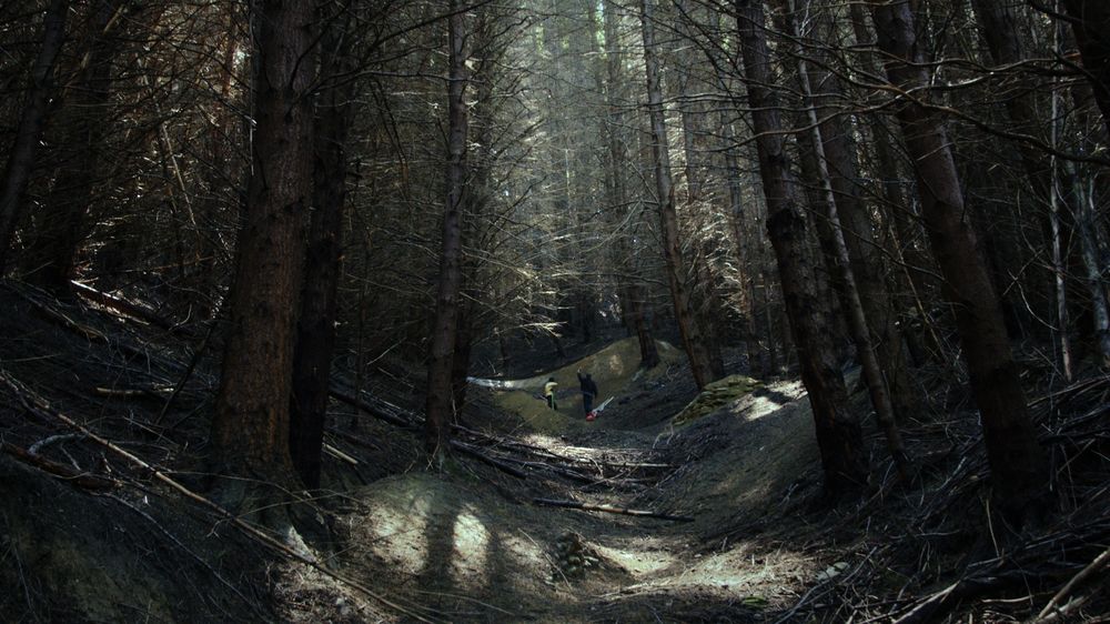 Light rays through a dark pine forest, a rider on the trail